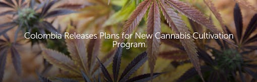 Colombia Releases Plans for New Cannabis Cultivation Program