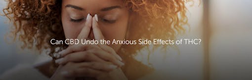 Can CBD Undo the Anxious Side Effects of THC?