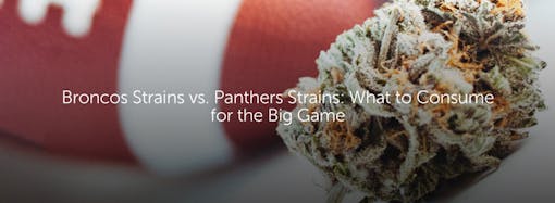 Broncos Strains vs. Panthers Strains: What to Consume for the Big Game