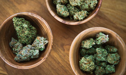 Dried cannabis flowers in wooden bowls on wood table