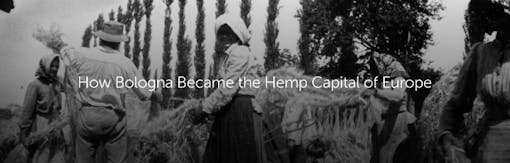 How Bologna Became the Hemp Capital of Europe