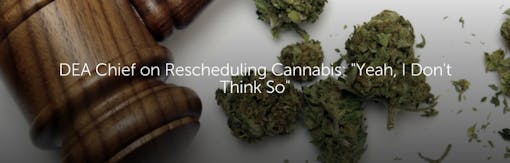 DEA Chief on Rescheduling Cannabis: 'Yeah, I Don't Think So'