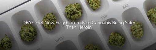 DEA Chief Now Fully Commits to Cannabis Being Safer Than Heroin