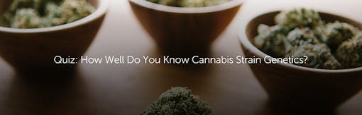 Quiz: How Well Do You Know Cannabis Strain Genetics?