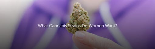 What Cannabis Strains Do Women Want?