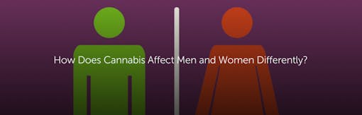 How Does Cannabis Affect Men and Women Differently?