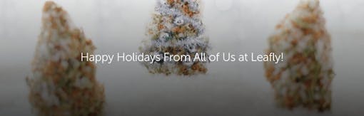 Happy Holidays From All of Us at Leafly