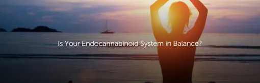 Is Your Endocannabinoid System in Balance?