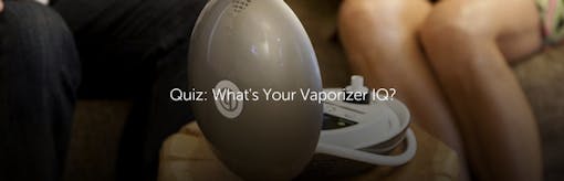 Quiz: What's Your Vaporizer IQ?