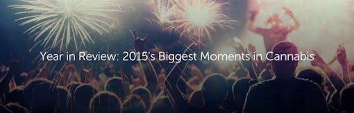 Year in Review: 2015's Biggest Moments in Cannabis