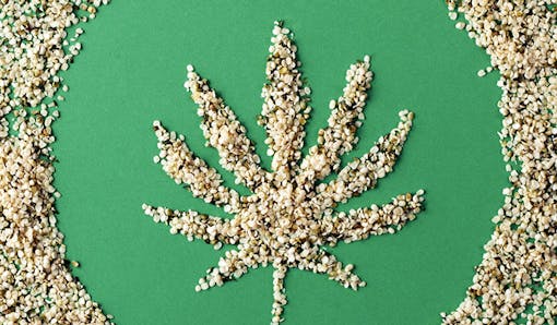 Hemp seeds