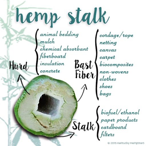 Properties of hemp stalk