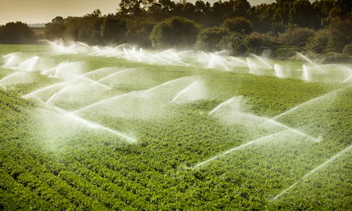 Watering a field of crops