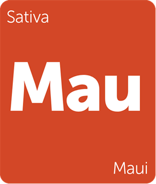 Leafly Maui sativa cannabis strain tile
