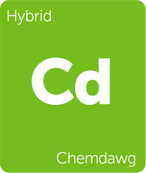 Leafly Chemdawg hybrid cannabis strain tile