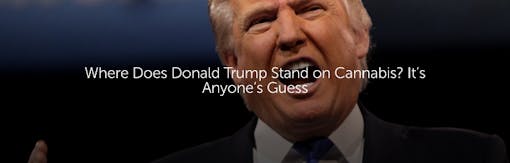 Where Does Donald Trump Stand on Cannabis? It’s Anyone’s Guess