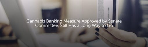 Cannabis Banking Measure Approved by Senate Committee, Still Has a Long Way to Go