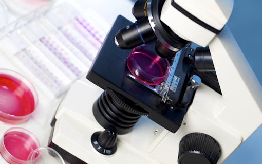 Microscope with petri dishes