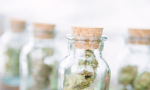 Glass cork jars filled with cannabis