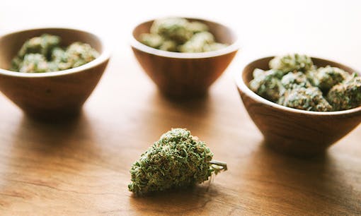 Cannabis buds on a wooden table