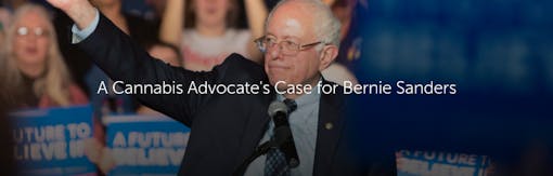 A Cannabis Advocate's Case for Bernie Sanders