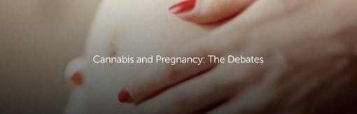 Cannabis and Pregnancy: The Debates