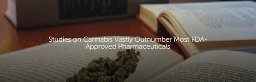 Studies on Cannabis Vastly Outnumber Most FDA-Approved Pharmaceuticals
