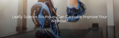 Leafly Science Roundup: Can Cannabis Improve Your Workout?