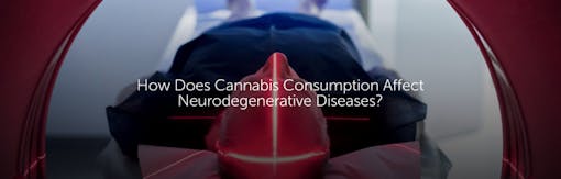 How Does Cannabis Consumption Affect Neurodegenerative Diseases?