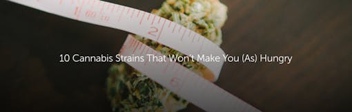 10 Cannabis Strains That Won’t Make You (As) Hungry