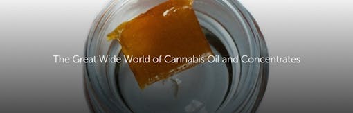 The Great Wide World of Cannabis Oil and Concentrates