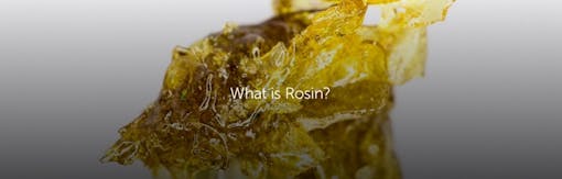 What is Rosin?
