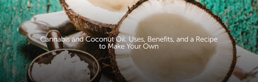 Cannabis and Coconut Oil: Uses, Benefits, and a Recipe to Make Your Own