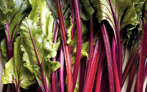Beet greens