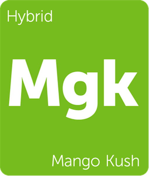 Leafly Mango Kush hybrid cannabis strain tile