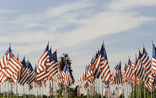 Military veterans memorial flags