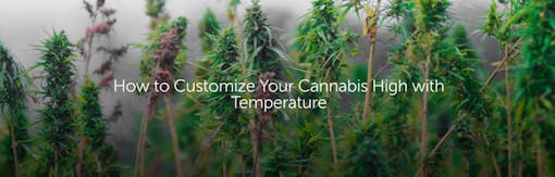 How to Customize Your Cannabis High with Temperature