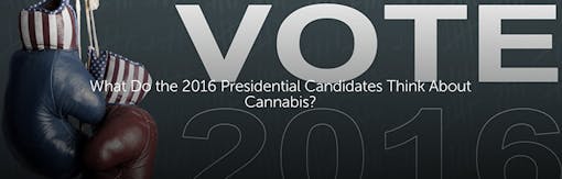What Do the 2016 Presidential Candidates Think About Cannabis?