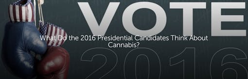 What Do the 2016 Presidential Candidates Think About Cannabis?