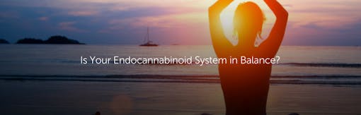 Is Your Endocannabinoid System in Balance?