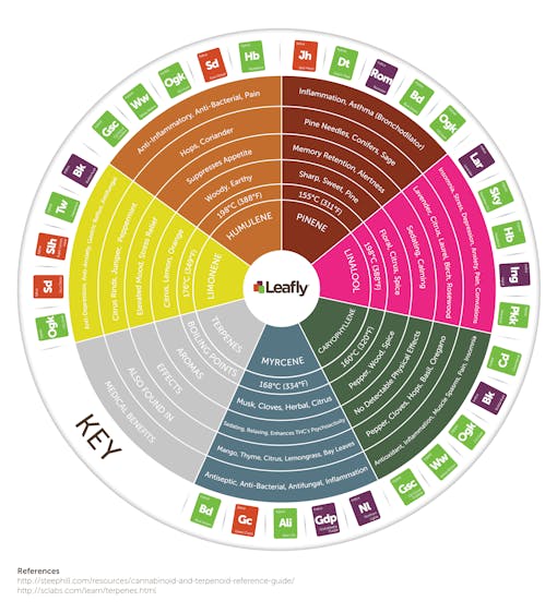 Leafly cannabis terpene wheel infographic
