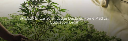 Breaking: Canadian Judge Declares Home Medical Cultivation Legal