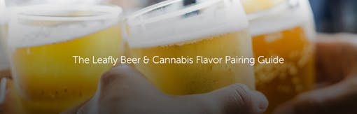 The Leafly Beer & Cannabis Flavor Pairing Guide