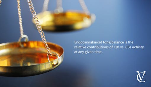 Balanced endocannabinoid system