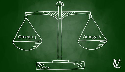 Balanced endocannabinoid system: omega-6 vs omega-6