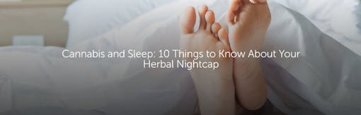 Cannabis and Sleep: 10 Things to Know About Your Herbal Nightcap