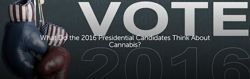 What Do the 2016 Presidential Candidates Think About Cannabis?