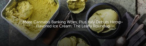 More Cannabis Banking Woes, Plus Italy Debuts Hemp-Flavored Ice Cream: The Leafly Roundup