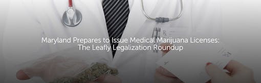 Maryland Prepares to Issue Medical Marijuana Licenses: The Leafly Legalization Roundup