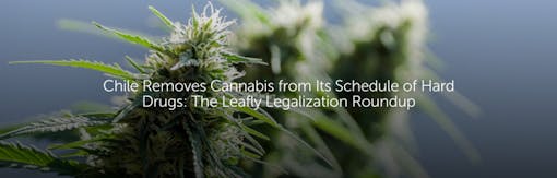 Chile Removes Cannabis from Its Schedule of Hard Drugs: The Leafly Legalization Roundup